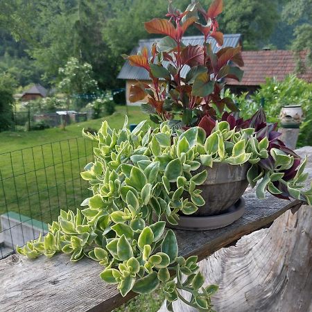 Apartmaji Katrc Soča Dış mekan fotoğraf