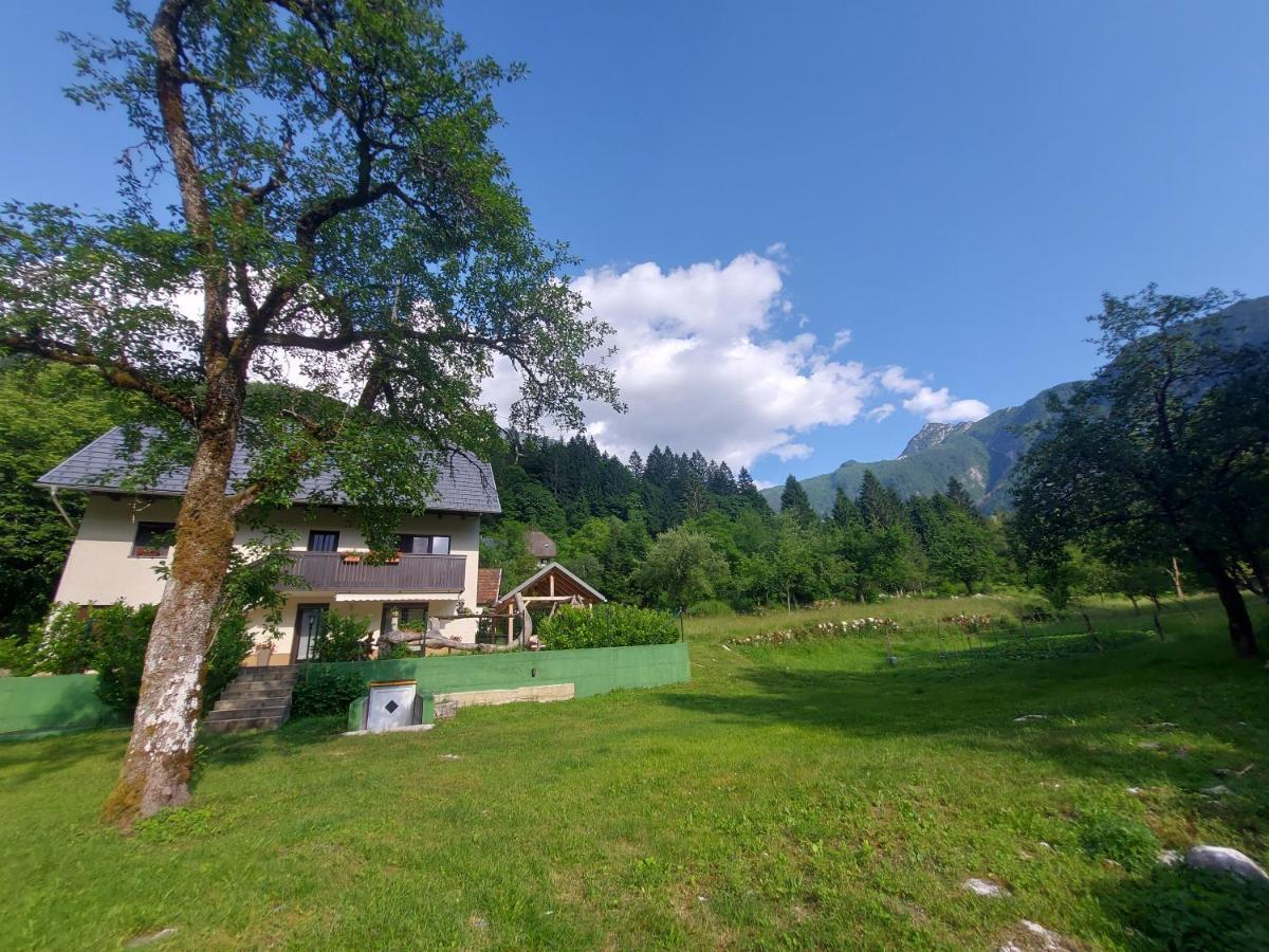 Apartmaji Katrc Soča Dış mekan fotoğraf