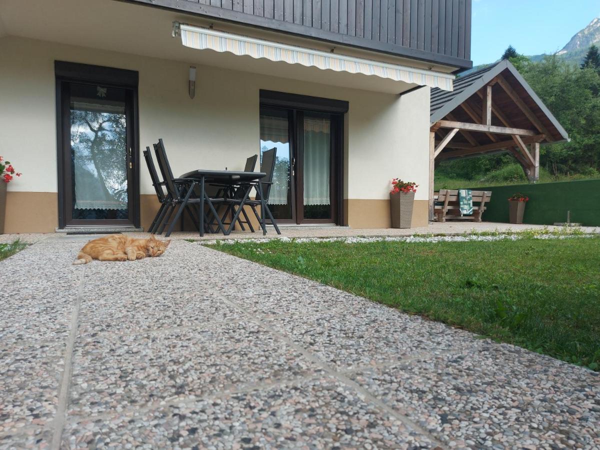 Apartmaji Katrc Soča Dış mekan fotoğraf