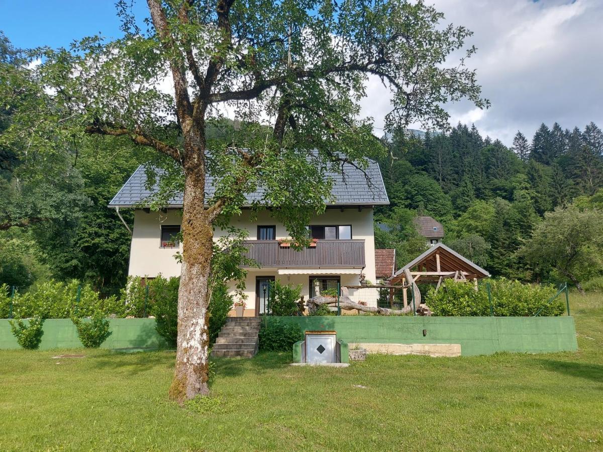Apartmaji Katrc Soča Dış mekan fotoğraf