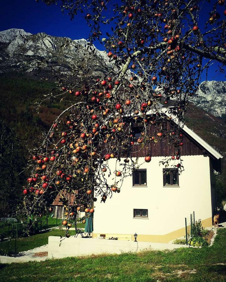 Apartmaji Katrc Soča Dış mekan fotoğraf