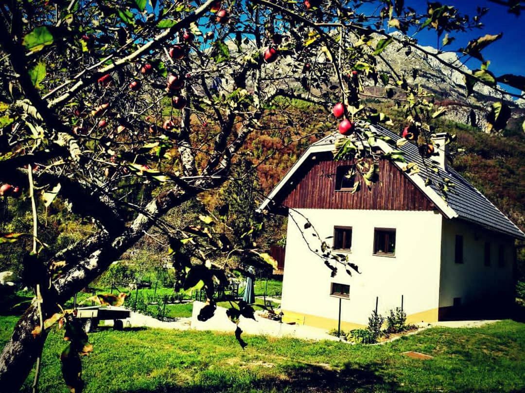 Apartmaji Katrc Soča Dış mekan fotoğraf