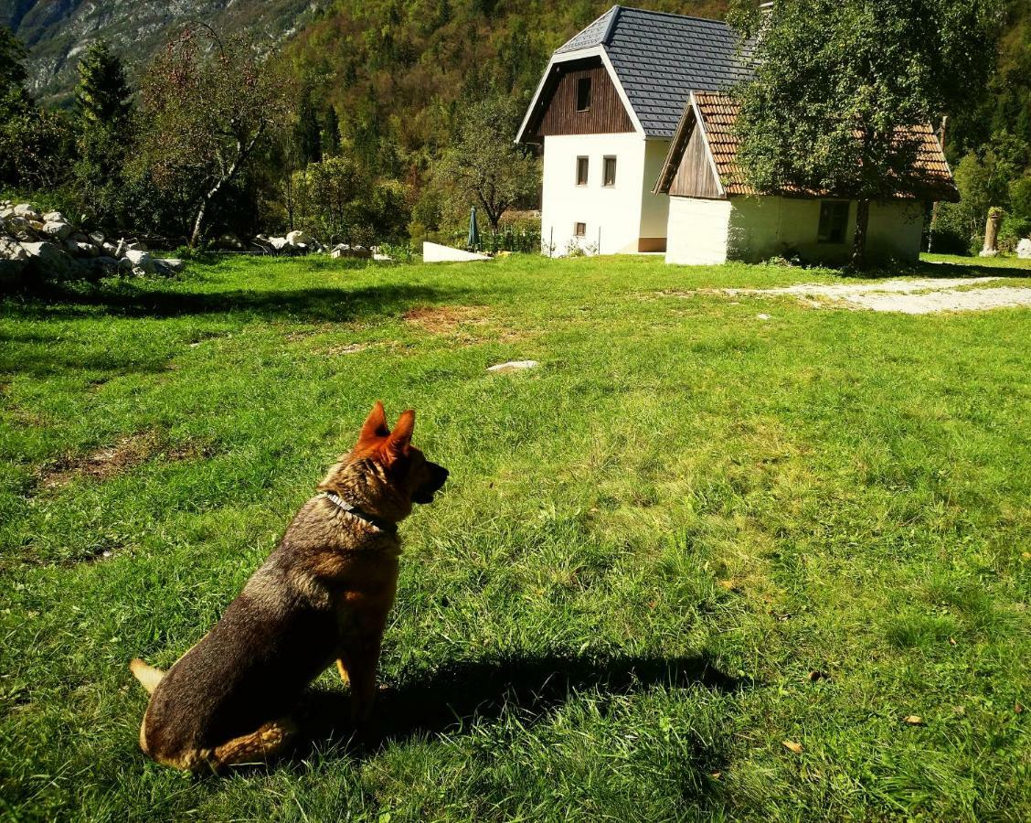 Apartmaji Katrc Soča Dış mekan fotoğraf